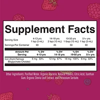 Vegan Liquid Iron - Berry - 15 fl oz (30-90 Servings)