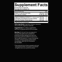 Elderberry Immunity Capsules - 60 Capsules (30 Servings)