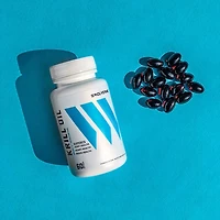 Krill Oil 500 mg - 60 Softgels (60 Servings)