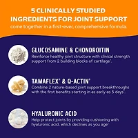 TriFlex Joint Support Complete Care (30-Day Supply)