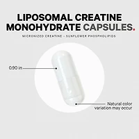Liposomal Creatine - 360 Capsules (90 Servings)