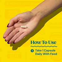 Gut Health Probiotic Plus Enzymes  25 billion CFUs - 60 Capsules (60 Servings)