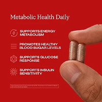 Metabolic Health Daily (30 Servings)
