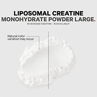 Liposomal Creatine Powder - Unflavored (90 Servings)