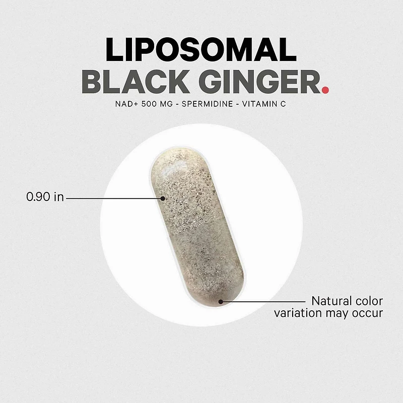 Liposomal Black Ginger - 90 Vegetable Capsules (90 Servings)