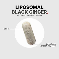 Liposomal Black Ginger - 90 Vegetable Capsules (90 Servings)