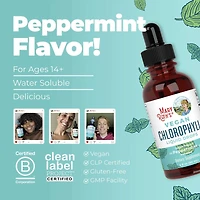 Vegan Chlorophyll Liquid Drops - Peppermint - 2 fl oz (30 Servings)