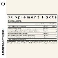 Brain Focus Multivitamin+ - 60 Vegetable Capsules (30 Servings)