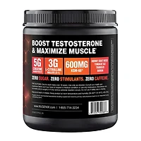 T-Booster + Creatine - Fruit Punch (30 Servings)