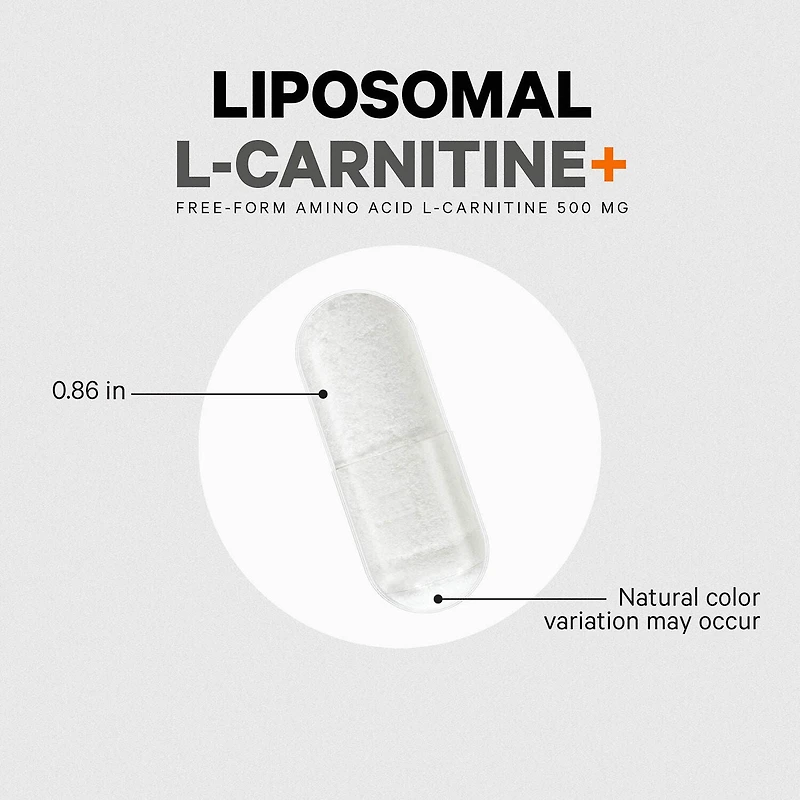 Liposomal L-Carnitine+ - 90 Capsules (90 Servings)