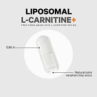 Liposomal L-Carnitine+ - 90 Capsules (90 Servings)