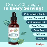 Vegan Chlorophyll Liquid Drops - Peppermint - 2 fl oz (30 Servings)