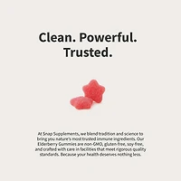 Immune Booster Elderberry Extract - 60 Gummies (30 Servings)