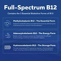 BioActive B-Complex Max Strength - 60 Capsules (60 Servings)