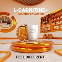 Liposomal L-Carnitine+ - 90 Capsules (90 Servings)