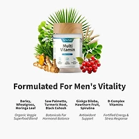 Men's Daily Multi Vitamin - 60 Capsules (30 Servings)