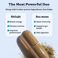 Shilajit Sea Moss - 120 Capsules (60 Servings)