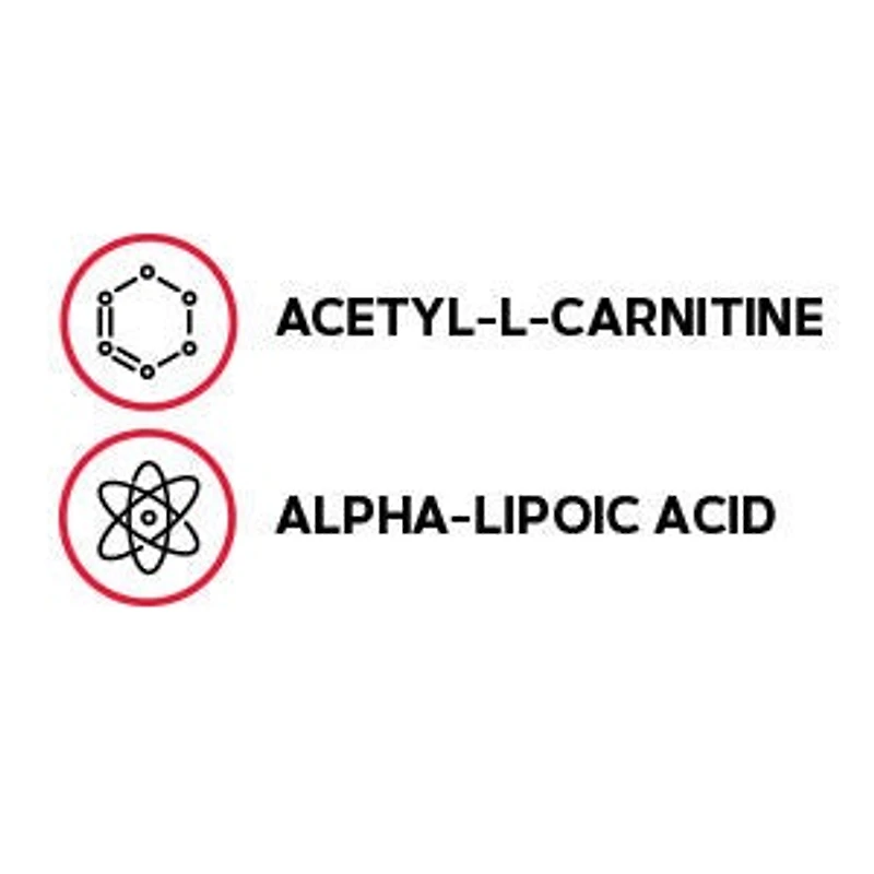 Acetyl-L-Carnitine alpha-Lipoic Acid 500mg / 200mg - 60 Caplets (30 Servings)