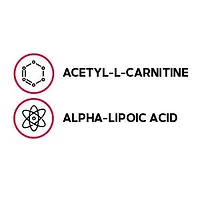 Acetyl-L-Carnitine alpha-Lipoic Acid 500mg / 200mg - 60 Caplets (30 Servings)