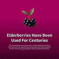 Immune Booster Elderberry Extract - 60 Gummies (30 Servings)