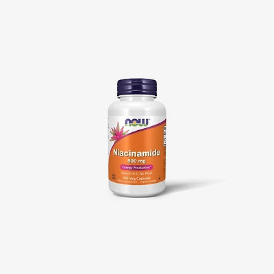 Niacinamide 500 mg (100 Servings)