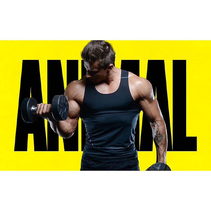 Animal Pak Ultimate Foundation Pill Packs - 44 Packs (22 Servings)