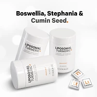 Liposomal Fermented Turmeric + Black Pepper - Curcumin & Ginger - 90 Capsules (30 Servings)