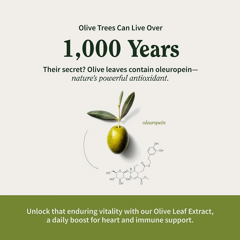 Maximum Strength Extract Olive Leaf Dietary Supplement - 90 Capsules (90 Servings)