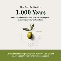Maximum Strength Extract Olive Leaf Dietary Supplement - 90 Capsules (90 Servings)