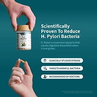 Gut Health Capsules - 60 Capsules (30 Servings)