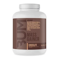 Raw Nutrition Mass Gainer - Chocolate (10 Servings)