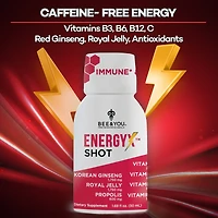 Natural Energy Shot with Ginseng (Caffeine Free) - 1.69 oz. (12 Bottles)
