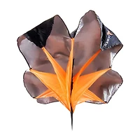 Parachute