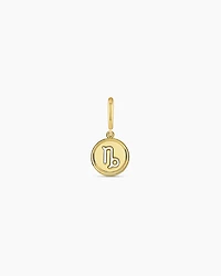 Zodiac Parker Charm