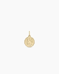 Diamond Zodiac Coin Charm