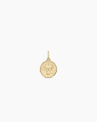 Diamond Zodiac Coin Charm