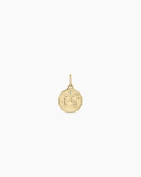 Diamond Zodiac Coin Charm