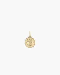 Diamond Zodiac Coin Charm