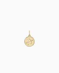 Diamond Zodiac Coin Charm
