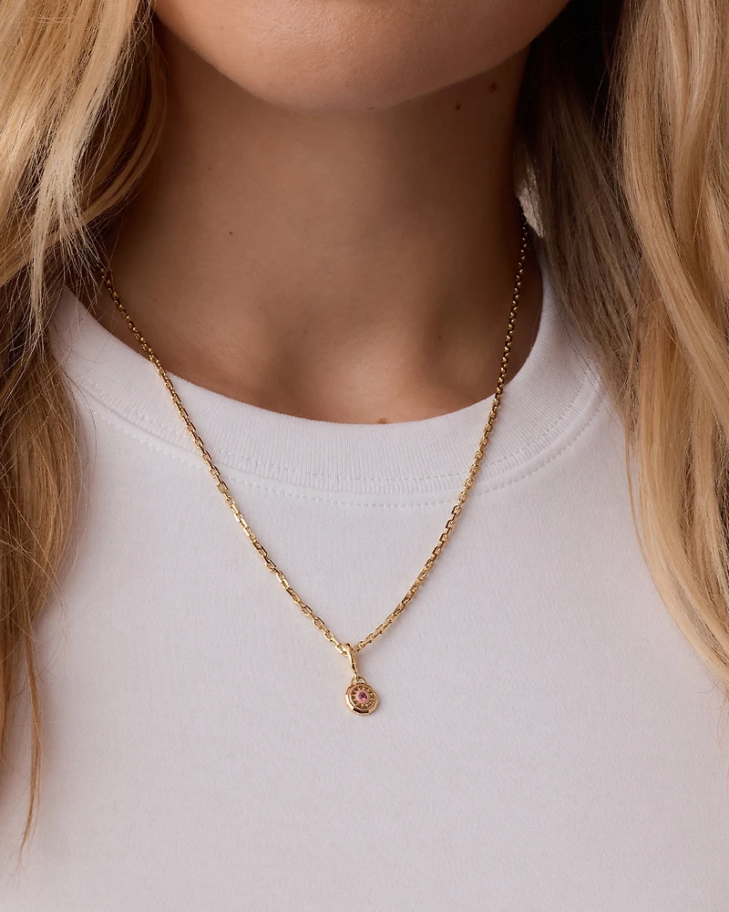 Birthstone Parker Charm