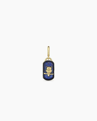 Power Gemstone Wisdom Parker Charm