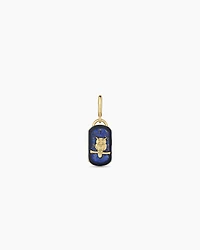 Power Gemstone Wisdom Parker Charm