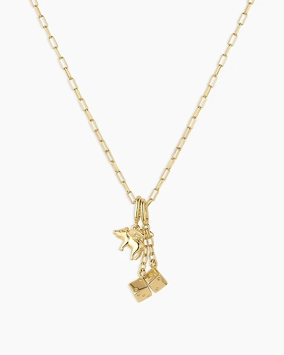 Lucky Parker Charm Necklace