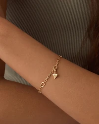 Shark Tooth Parker Charm