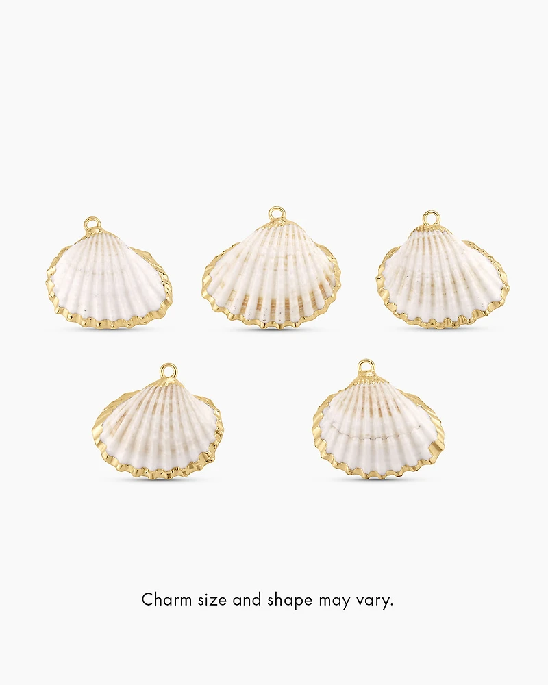 Scallop Shell Parker Charm