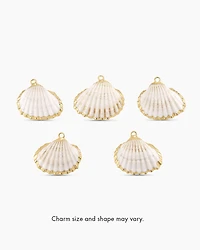Scallop Shell Parker Charm