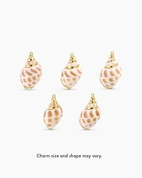 Tulip Shell Parker Charm