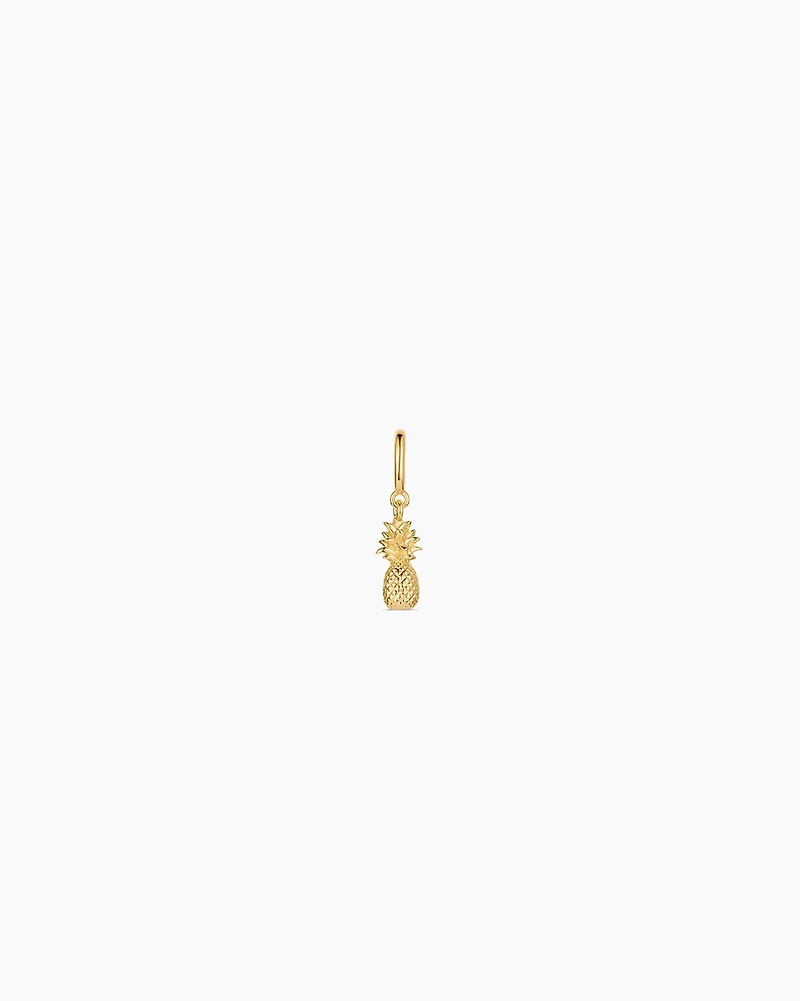 Pineapple Parker Charm