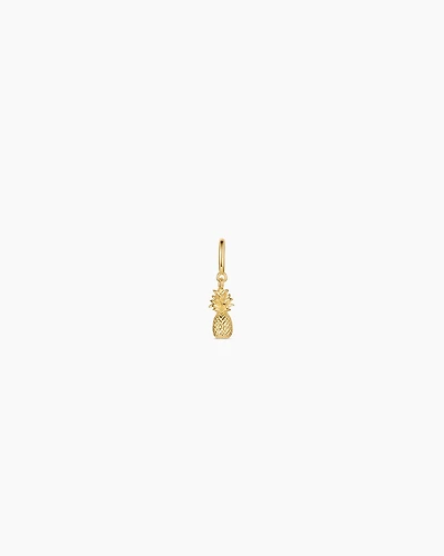 Pineapple Parker Charm