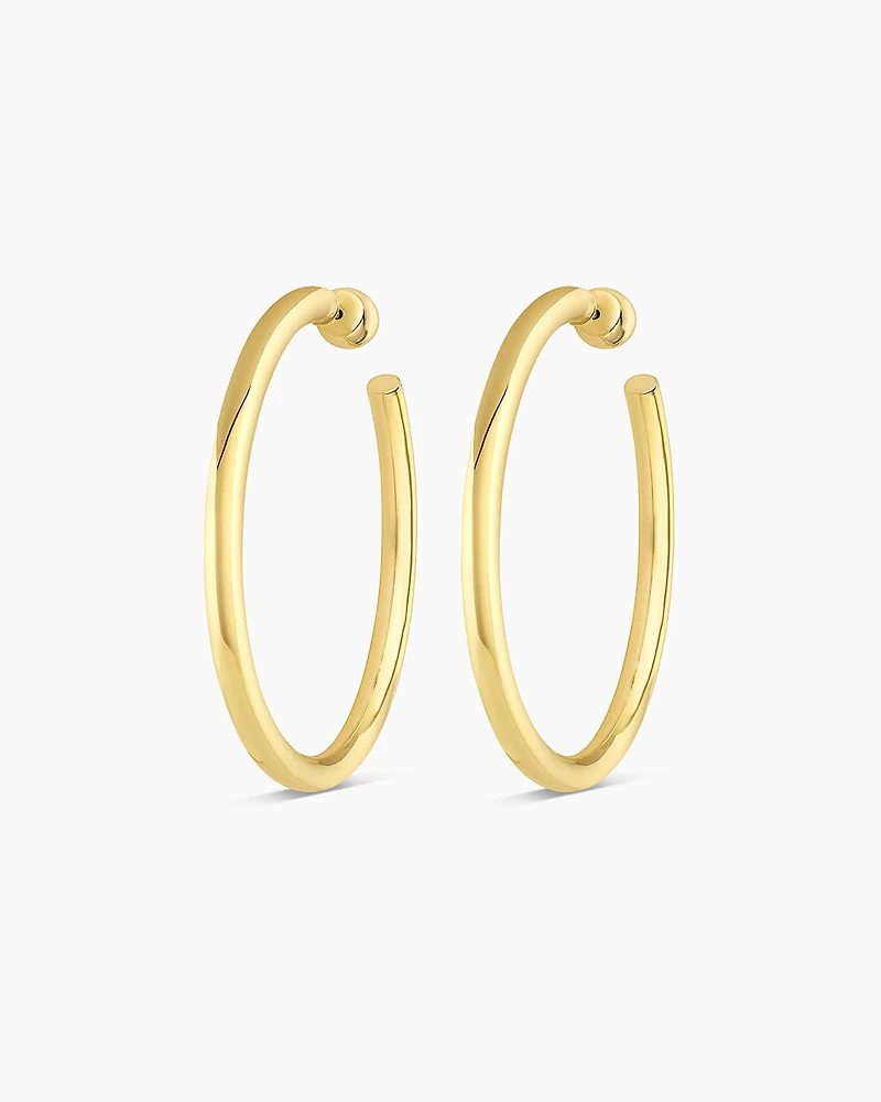 Carter Statement Hoops